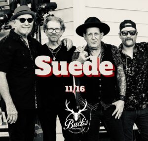 Suede - Buck's Backyard